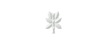 BOW